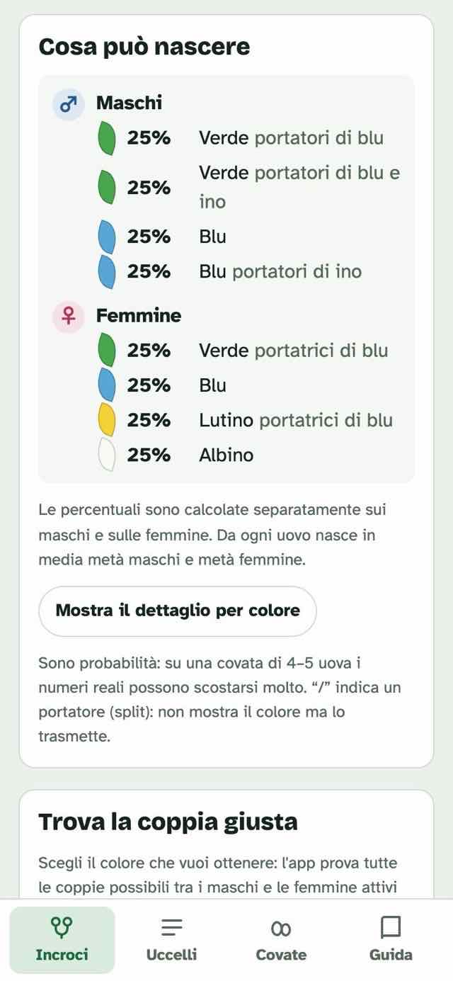 Il calcolatore degli incroci: maschio verde portatore di blu e di ino per femmina blu, con i colori che nascono